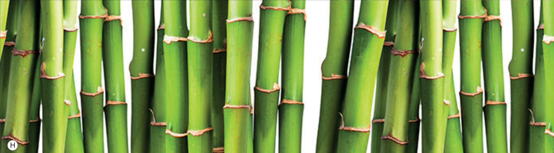 DanKuchen boje kuhinja zidne obloge Bambus grun